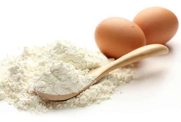 Yumurta Tozu